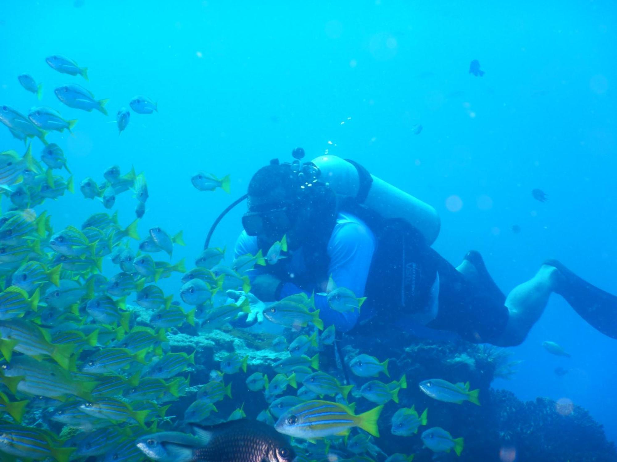 Villa Raja Ampat Blue Sea Besir Esterno foto