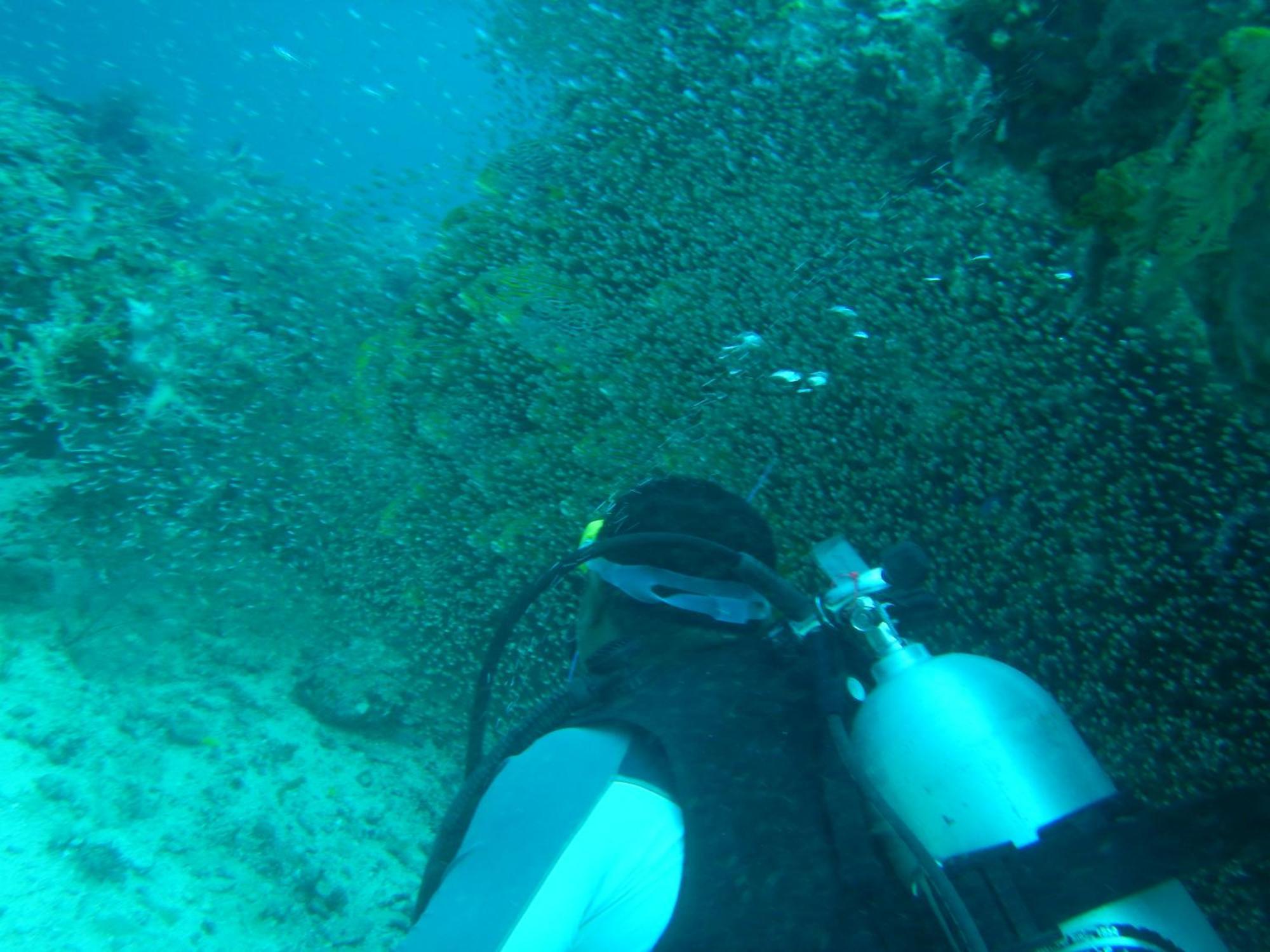 Villa Raja Ampat Blue Sea Besir Esterno foto