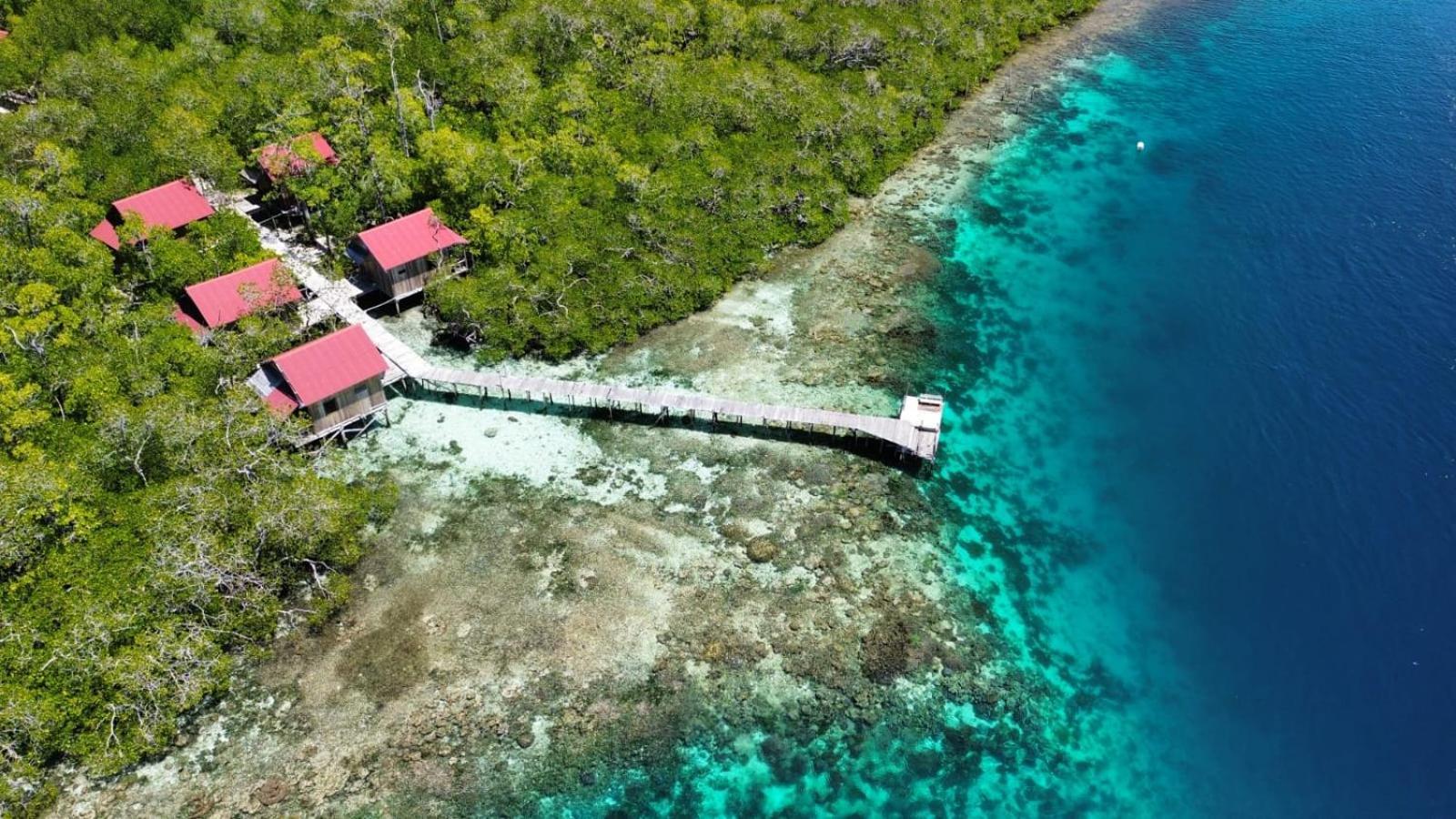 Villa Raja Ampat Blue Sea Besir Esterno foto