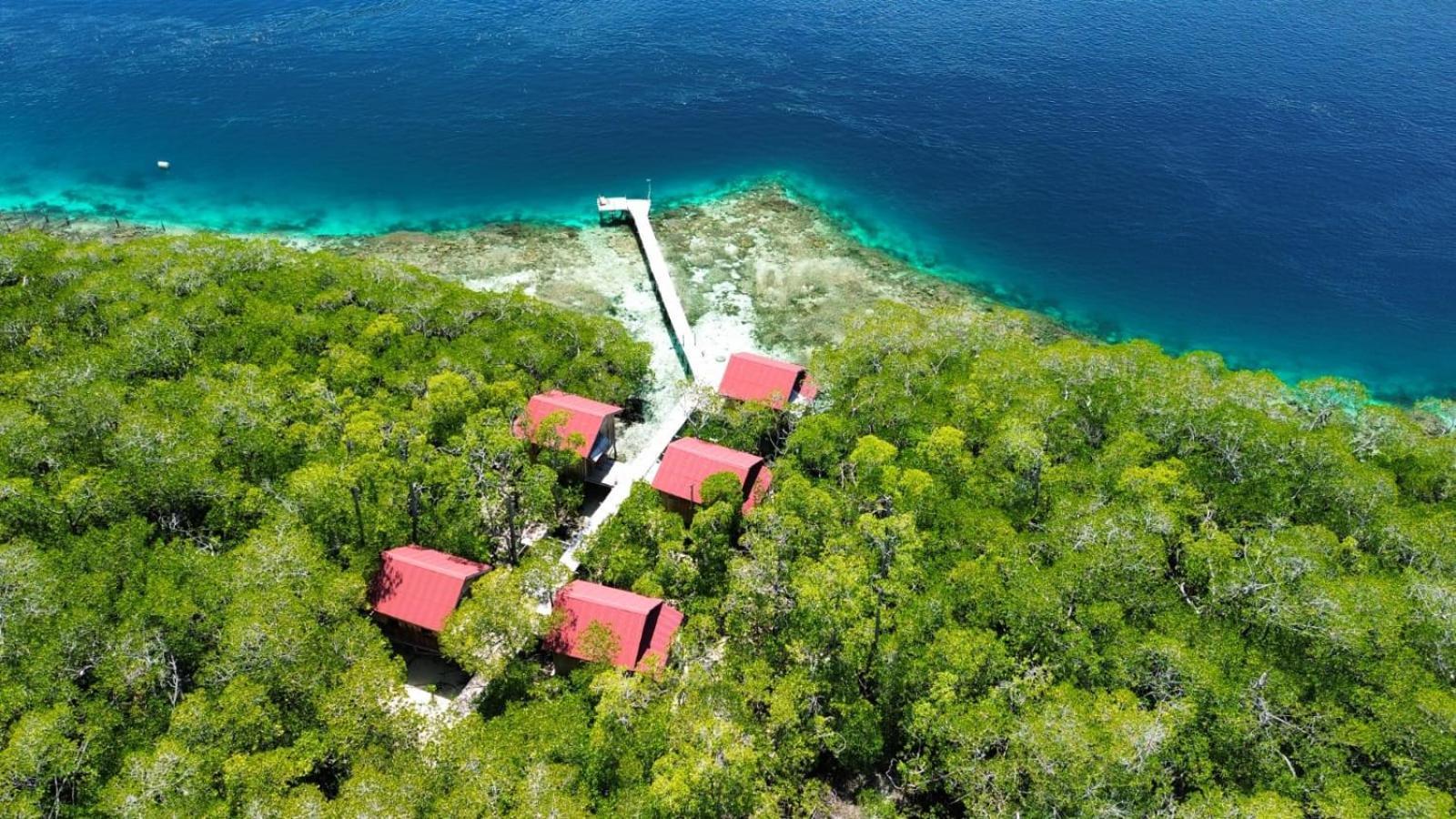 Villa Raja Ampat Blue Sea Besir Esterno foto