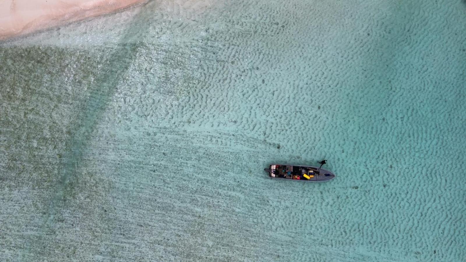 Villa Raja Ampat Blue Sea Besir Esterno foto